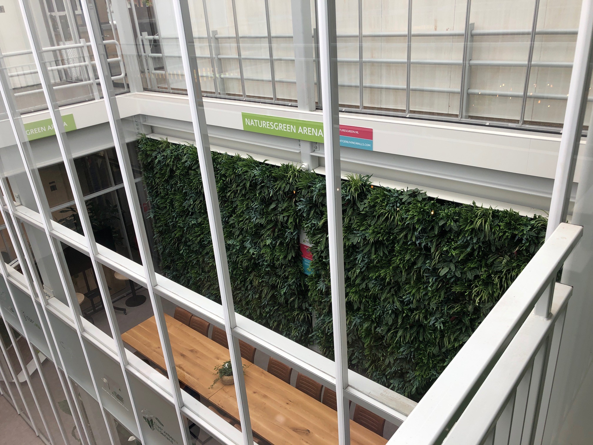 verticale tuin voor gezond kantoorklimaat